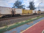 ELBR FTT-032063-3